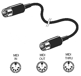 Din Lead and Sockets