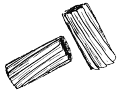 Centriole "T"