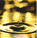 Water Drop