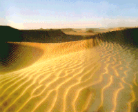 Sand Dune